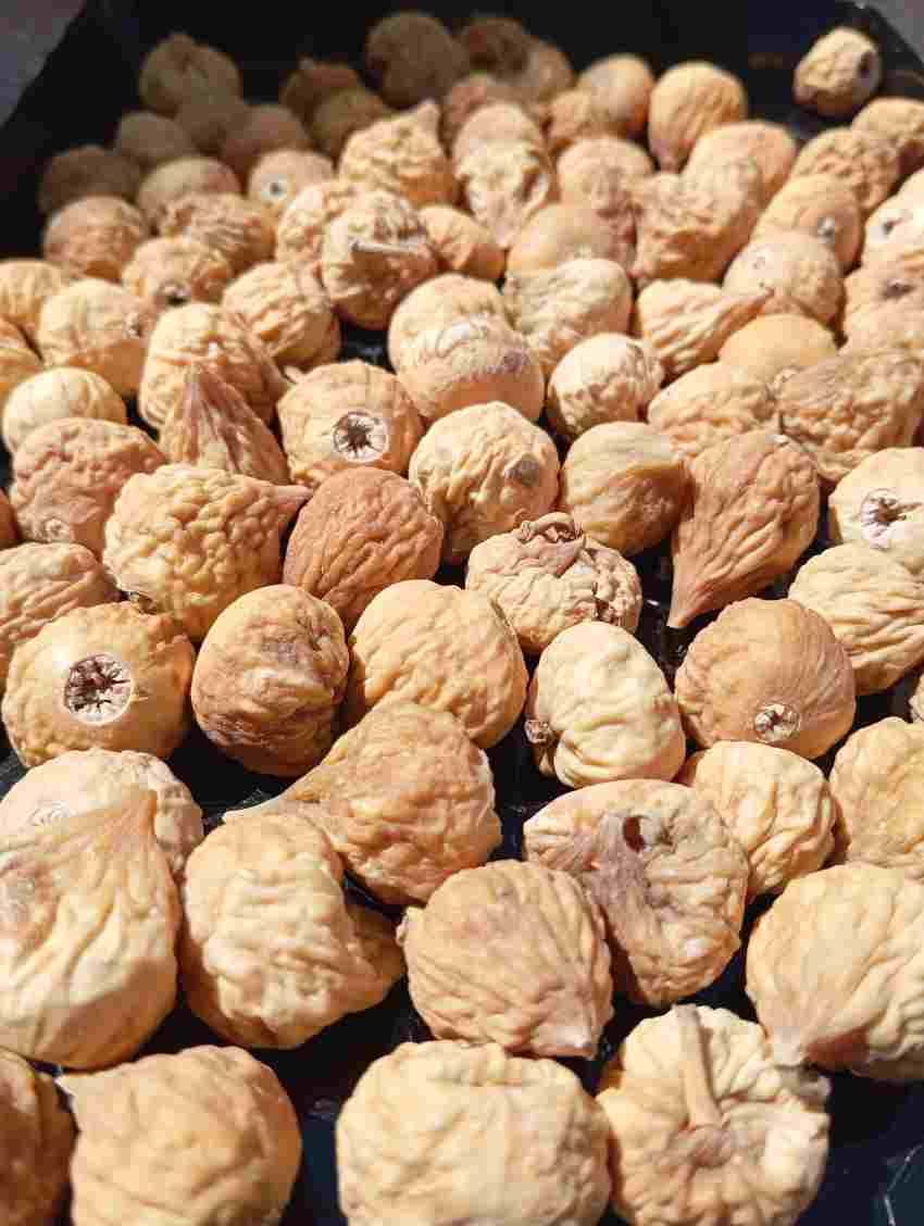 انجیر خشک سفید صادراتی با ارزش اقتصادی
